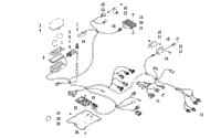 Wiring Harness Assembly
