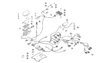 Wiring Harness Assembly