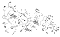 Wiring Harness Assembly
