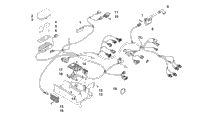 Wiring Harness Assembly