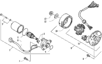 Magneto And Starter Motor Assembly