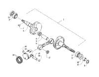 Crankshaft And Piston Assembly