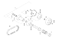 Driven Clutch Assembly