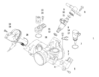 Throttle Body Assembly
