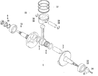 Crankshaft Assembly