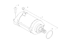 Starter Motor Assembly