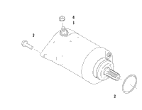 Starter Motor Assembly
