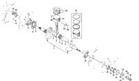 Crankshaft Assembly
