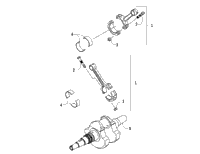Crankshaft Assembly