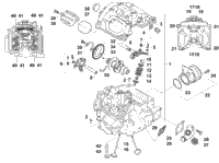 Cylinder Head And Camshaft/Valve Assembly