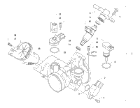Throttle Body Assembly