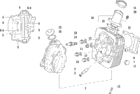 Cylinder Head Assembly