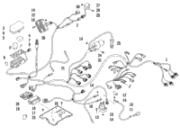 Wiring Harness Assembly