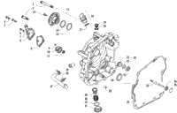 Crankcase Cover Assembly