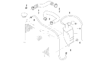 Radiator Hose Assembly