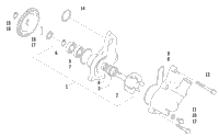 Water Pump Assembly