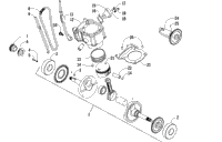 Piston And Crankshaft Assembly