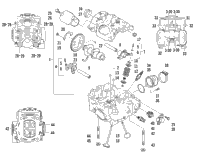 Cylinder Head And Camshaft/Valve Assembly