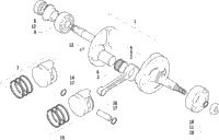 Crankshaft Assembly