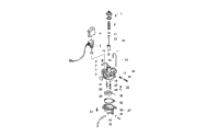 Carburetor Assembly