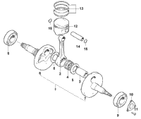 Crankshaft Assembly