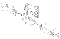 Crankshaft Assembly