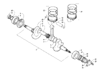 Crankshaft Assembly