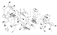 Wiring Harness Assembly