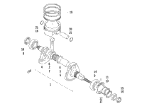 Crankshaft Assembly