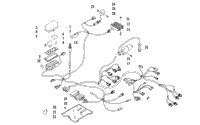 Wiring Harness Assembly