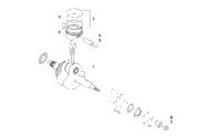 Crankshaft And Piston Assembly