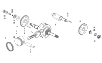 Piston And Crankshaft Assembly