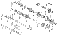 Transmission Assembly