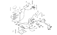 Wiring Harness Assembly