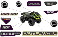 Body - Decals