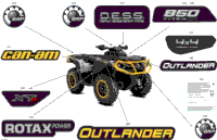 Body - Feature Decals