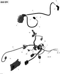Engine Harness And Electronic Module Outlander Xmr
