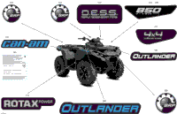 Body - Feature Decals