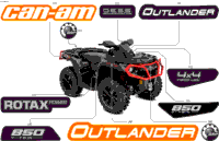 Body - Feature Decals