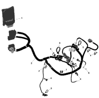 Rotax - Engine Harness And Electronic Module