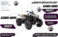 Body - Feature Decals