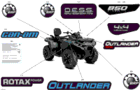 Body - Feature Decals