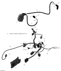 Engine Harness And Electronic Module - 650 Efi
