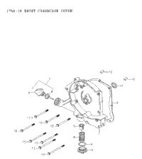 Crankcase Cover