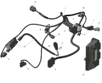 Rotax - Engine Harness And Electronic Module