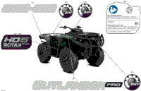 Body - Feature Decals