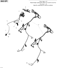 Engine Harness And Electronic Module