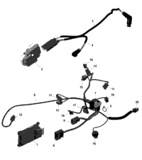 Rotax - Engine Harness And Electronic Module - 211