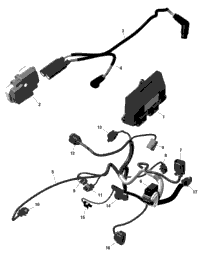 Rotax - Engine Harness And Electronic Module