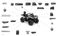 Body - Decals - Xt